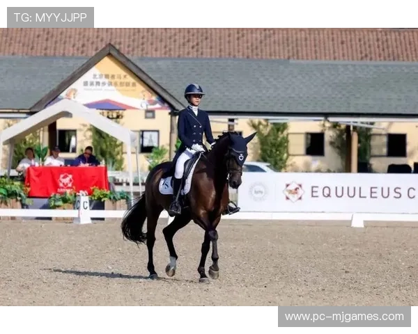 十五运会马术盛装舞步赛选手表现优雅，马匹默契成关键